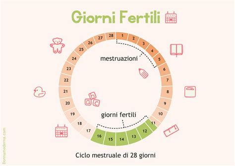 si può rimanere incinta a 44 anni|Probabilità di Gravidanza: Giorni Fertili e Non